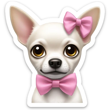 white chihuahua with black ears with pink bow sticker