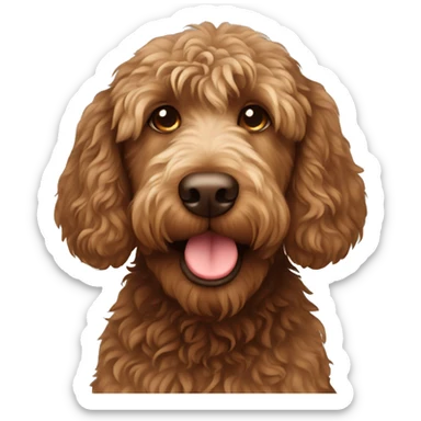 brown labradoodle  sticker