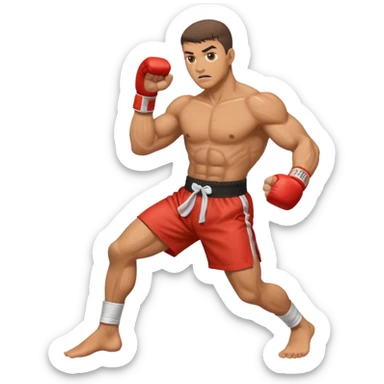 kickboxer kicking sticker