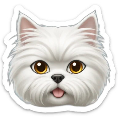 white persian cat with a yorkie dog sticker
