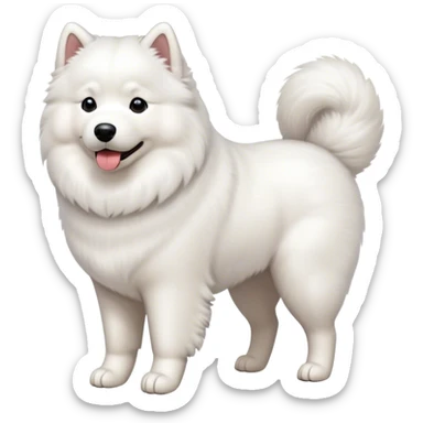  Samoyed on a walk sticker
