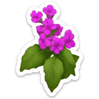 buganvillea  sticker