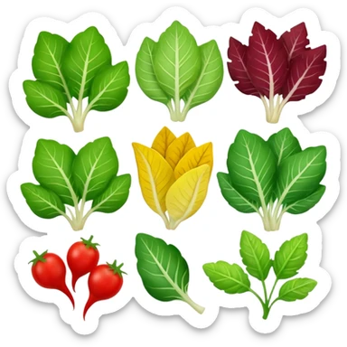 different salad leaves different colors  sticker