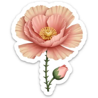 Carnation poppy beige light rose sticker
