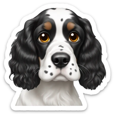 black and white english cocker spaniel and nose spots sticker