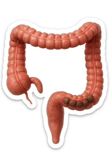 intestino umano anatomico, iperrealistico 4k, con feci a palline sticker