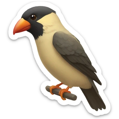  Tucán pájaro sticker