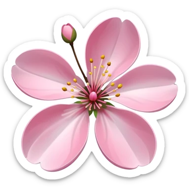 A pale pink cherry blossom, with two petals floating beside it. sticker