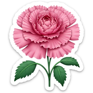 carnation sticker