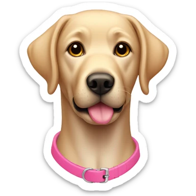 Labrador with pink collar  sticker