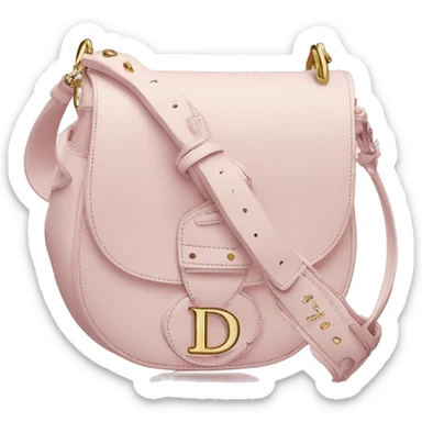 Dior  light pink saddle bag  sticker