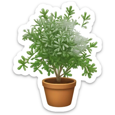 thyme sticker
