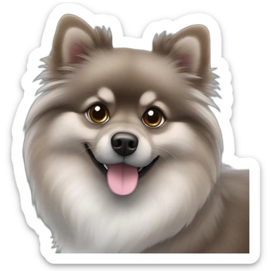 Black and gray Pomeranian blue and brown eyes sticker