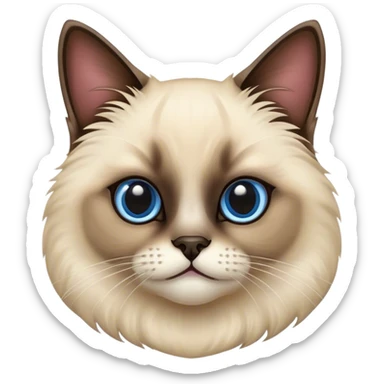 siam cat пушистый sticker