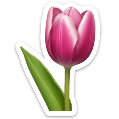 Tulip sticker