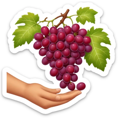 red grapes, harvest with hand sticker