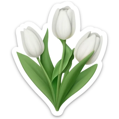 White tulips sticker