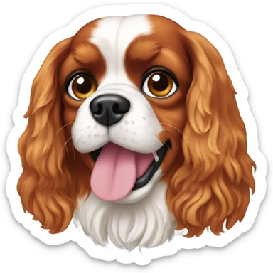 Cavalier king charles dog sticker