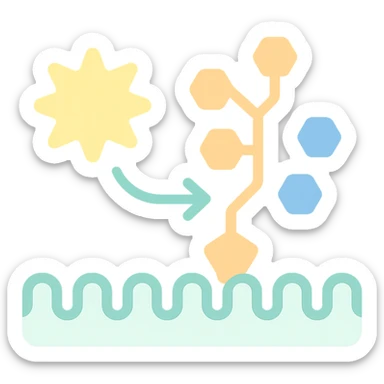 Ultra-detailed illustration of enzyme digestion: amylase breaking starch into sugars near a cell membrane. Clean white background, no text. Scientific but simple sticker