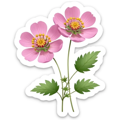 Geum triflorum sticker