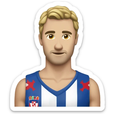 hercegovina Croatia grb sticker