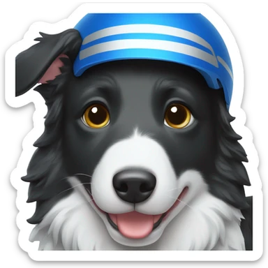 Border collie wearing a bright blue football helmet with silver stripe sticker