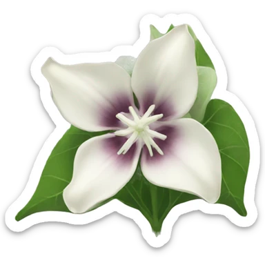 Moonflower sticker