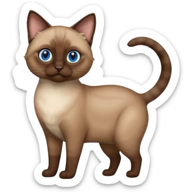 Brown siamese cat, blue eyes, short hair, full height sticker