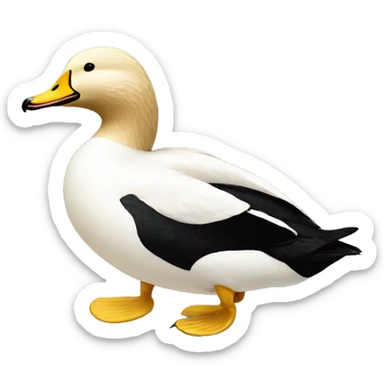 King eider  sticker