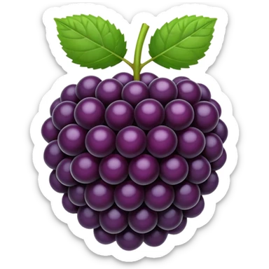 blackberry sticker