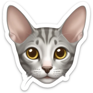 grey tabby oriental shorthair cat with large ears sticker