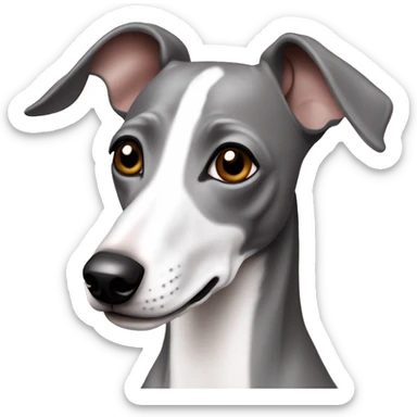 grey and white italian greyhound dog sticker