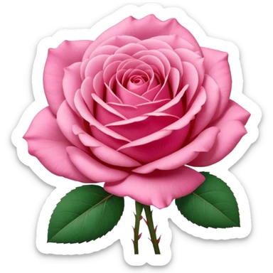 “A Polaroid-style photo of a pink rose  sticker