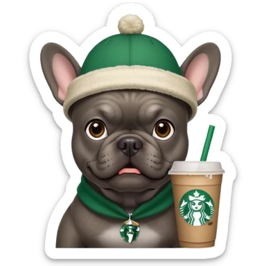 dark grey french bulldog with a starbucks hat sticker