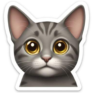curious cat gazing at viewer sticker