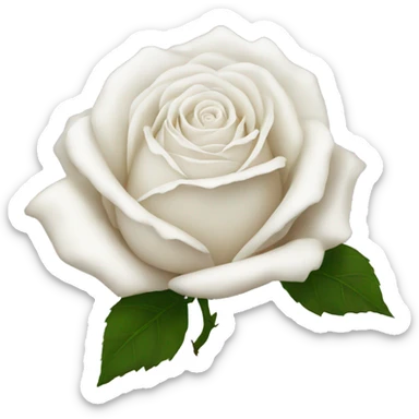 White rose sticker