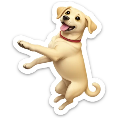 Yellow lab doing a back flip sticker