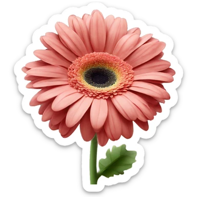 Flower gerbera sticker