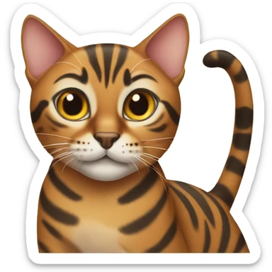 Bengal female cat sticker
