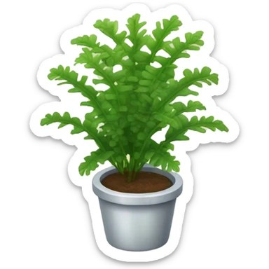 asplenium plant sticker