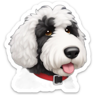 handsome sheepadoodle, white center of chest, black shoulders, red collar, white on thin center of face and mustache, black fur on eyes and outside of face,nice mustache, great posture sticker