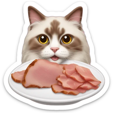 Brown ragdoll cat eating ham sticker