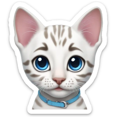 white bengal kitten with blue eyes and pink collar sticker