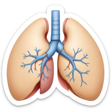 breast anatomy sticker