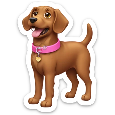 curly brown dog with pink collar sticker