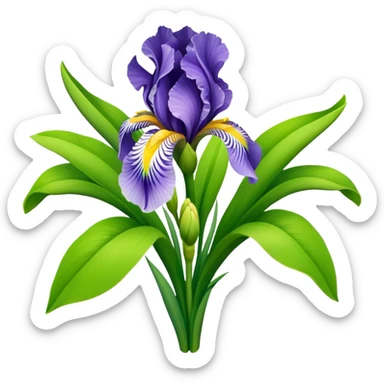 bouquet Soft Green Iris, luxuriant, leaf, bud sticker