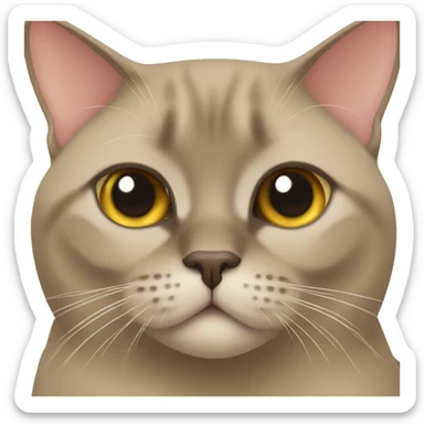 Burmese cat sticker