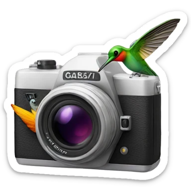 camera with colibri sticker