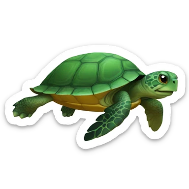 turtle sticker