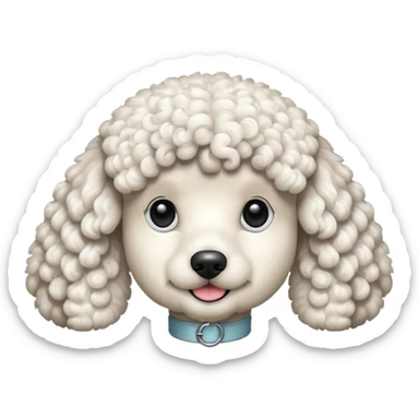 Perro poddle sticker